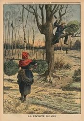 Couper le gui, illustration de couverture de 